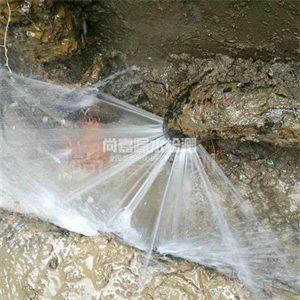 长倘口镇消防管道漏水检测
